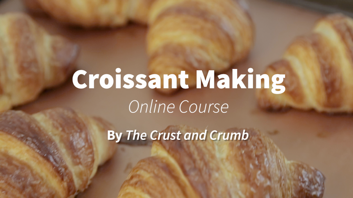 Classic French Croissants Crust and Crumb